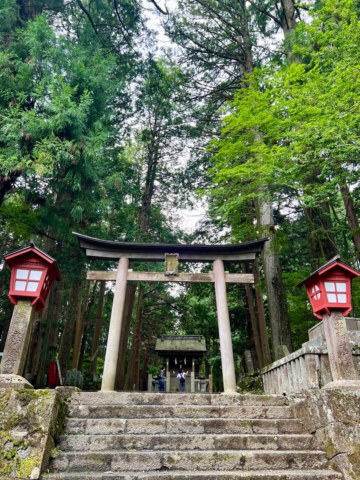 Fuji - Kyoto