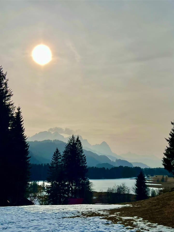 W poszukiwaniu krokusów