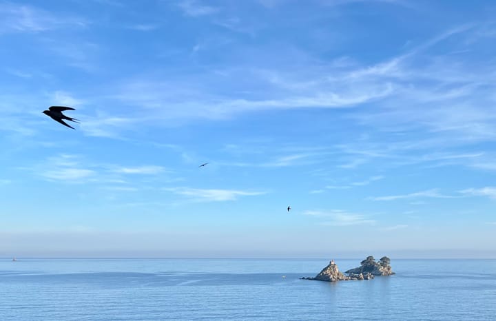 Plażowanie i spacery